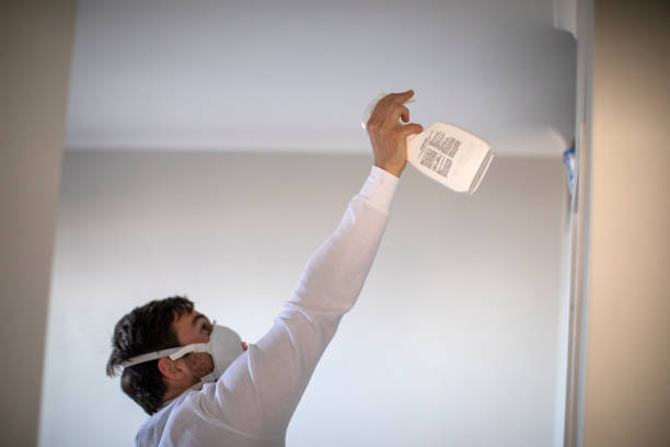 Best Same-Day Mold Removal  in Pine Grove, CA