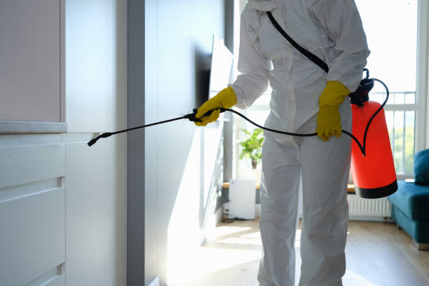Best Crawl Space Mold Removal  in Pine Grove, CA