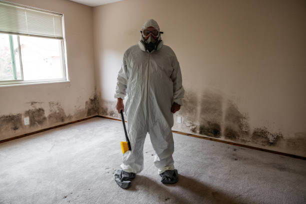 Best Residential Mold Removal  in Pine Grove, CA