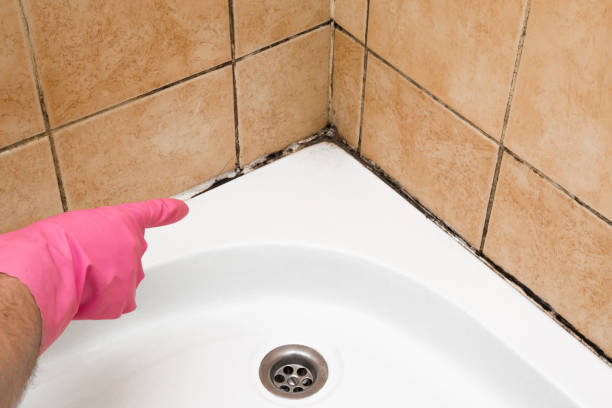 Best Mold Removal Near Me  in Pine Grove, CA